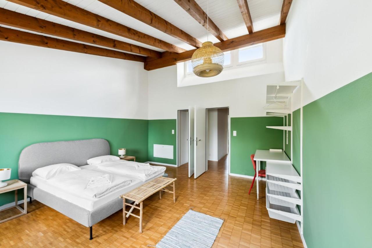 Cozy Apartments Close To The Center Of Zurich Forch Екстериор снимка