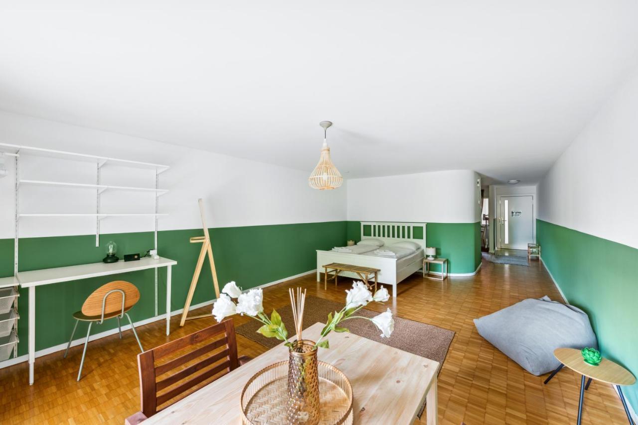 Cozy Apartments Close To The Center Of Zurich Forch Екстериор снимка