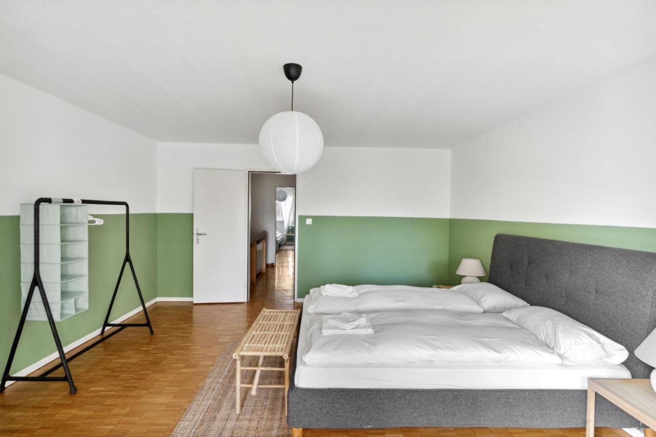 Cozy Apartments Close To The Center Of Zurich Forch Екстериор снимка